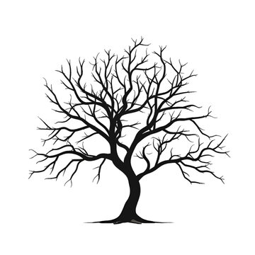 Black silhouette of tree on white background.