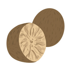 Illustration: nutmeg, whole and half, created in digital graphics. Suitable for creating patterns, decorating business cards, shops, booklets, for printing and websites.