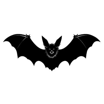 Black silhouette of a bat on white background.