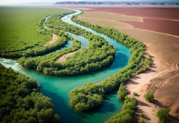 Aerial photo of a river with green plants in desert