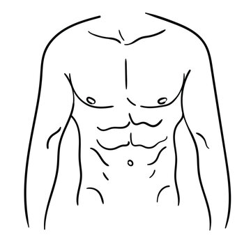 Hand-drawn cartoon outlines of a muscular male torso on a white background.
