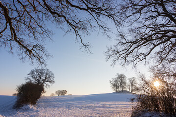 Scenic view to snowy fields with hills and barrow embedded by mystic oak branches in winter. 