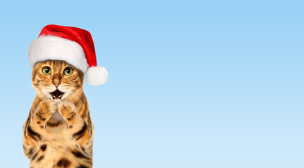Bengal cat wearing Santa hat, Christmas concept