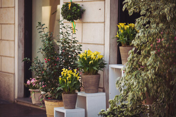 Potted plants and flowers on sale at a street market
