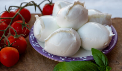 White balls of Italian soft cheese Mozzarella di Bufala Campana served with fresh green basil and red sicilian tomatoes