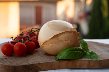 Ball of smoked Italian soft cheese Mozzarella di Bufala Campana served with fresh green basil and red sicilian tomatoes
