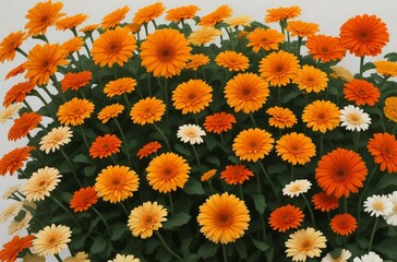 orange and flowers