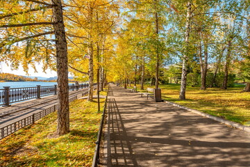 Fototapeta na wymiar Autumn embankment with trees on the river