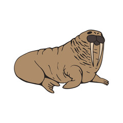 Sketch of a walrus. Drawing of poison. Vector illustration