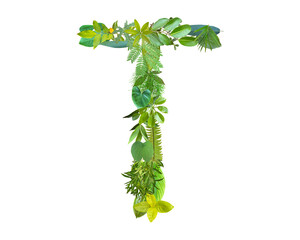 Obraz premium T shape made of various kinds of leaves isolated on transparent background, go green concept, PNG
