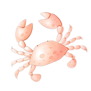 crab cartoon watercolor isolated reansparent background