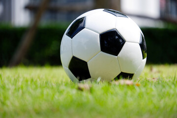 soccer ball in the grass.