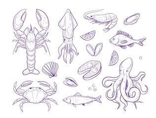 Seafood. set of vector sketch line illustrations, crab, lobster, shrimp, fish - obrazy, fototapety, plakaty