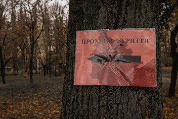 on the tree there is an inscription in shelter