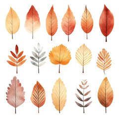 Fototapeta premium Collection of autumn leaves, watercolor illustration, set