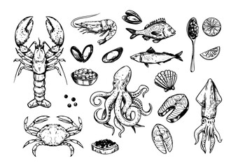Seafood. set of vector sketch illustrations, crab, lobster, shrimp, fish. Black outline on transparent background - obrazy, fototapety, plakaty