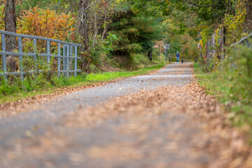 Fall, autumn, image of a long paved trail extending in the distance with orange leaves on the...