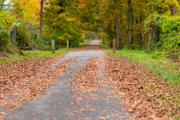 Fall, autumn, image of a long paved trail extending in the distance with orange leaves on the ground.	