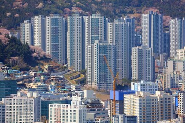 Fototapeta na wymiar Busan city Seodaesin-dong