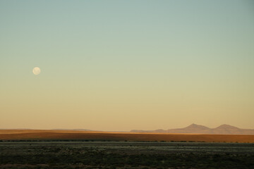 sunset over the field