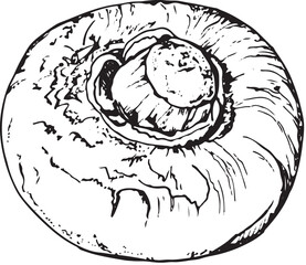 Champignon mushroom, hand-drawn black and white graphics, converted to vector. Illustration isolated for printing on fabric, packaging, prints, stickers, posters, cards