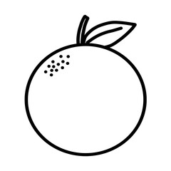 This is illustration of the orange.