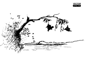 Hand drawn vector illustration. landscape sketch with bats looking for foods on main view. vector formats