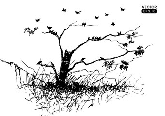 landscape handdrawn illustration tree silhouette with birds. handdrawn ink sketch illustration. vector black and white outline