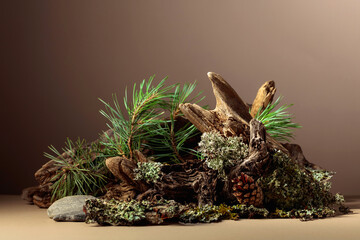 Abstract north nature scene with a composition of lichen, pine branches, and dry snags.