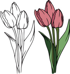 Tulip spring flower vector