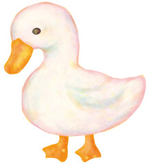 かわいいアヒルのイラスト