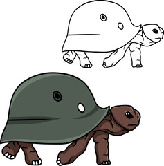 Turtle vector