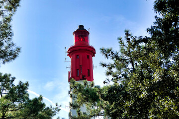 A glimpse of Cap Ferret Lighthouse, 57 metres high, poking through the maritime pines on a...