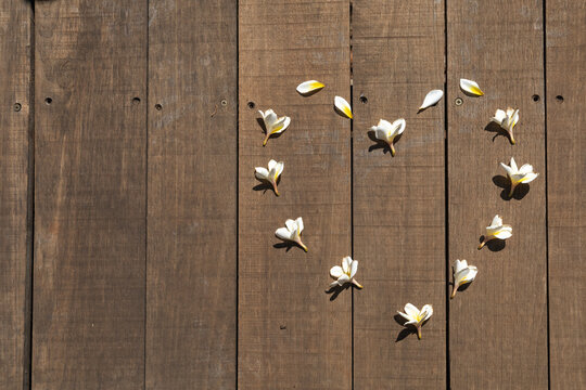 Heart of flowers, Cora&ccedil;&atilde;o de flores, flower on wooden background, Plumeria, frangipani, jasmim manga, Valentine's Day