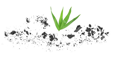 Small pieces of charcoal dust with green leaves isolated on a white background, top view.