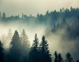 Fototapete Wald im Nebel Misty landscape with fir forest in vintage retro style