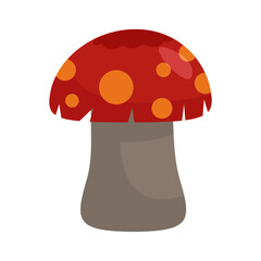 vector mushroom plant