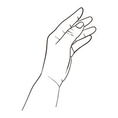 Illustration of a woman's hand. Line contour drawing of elegant hand. Doodle vector. Isolated object 