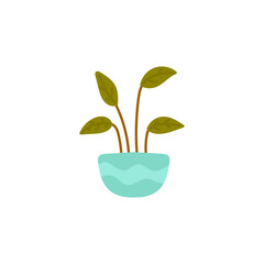 vector flower pot plant