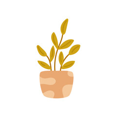 vector flower pot plant