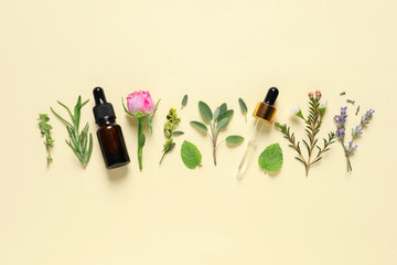 Bottle of essential oil, pipette, different herbs and rose flower on beige background, flat lay