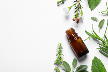 Bottle of essential oil and different herbs on white background, flat lay. Space for text