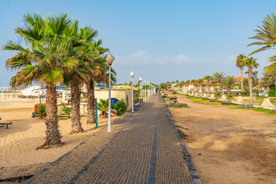 The promenade of Santa Maria on Sal island with palm trees and walking way