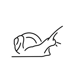 Line Art Logo Design Snail