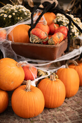 Pumpkins in old cart on shoppingstreet as outdoor halloween decoration.