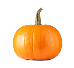 One fresh orange pumpkin isolated on white