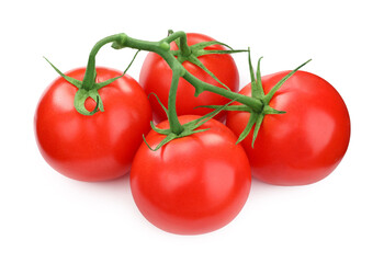 Branch of red ripe tomatoes isolated on white