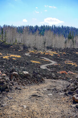 Obraz premium trail in the lava flow