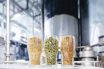Glasses with various malted grain, wheat. Craft beer brewing from grain barley malt. Ingredients for brewers factory