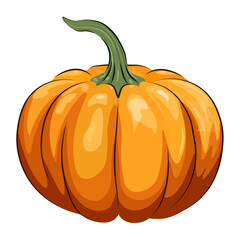 Orange pumpkin on white and transparent background